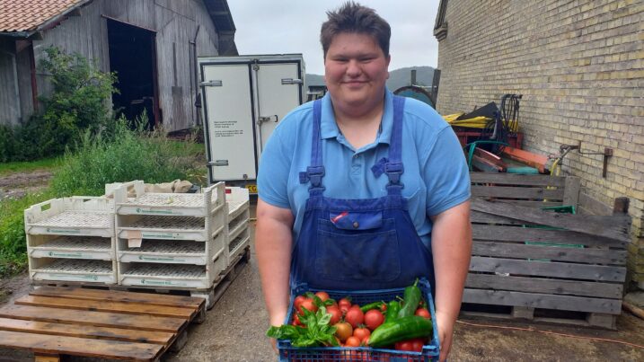 En person med sløret ansigt iført blå arbejdstøj holder en plastikbakke fyldt med tomater, agurk og grønne bladgrøntsager på en gårdsplads foran en lade, træpaller og stablede hvide bakker.