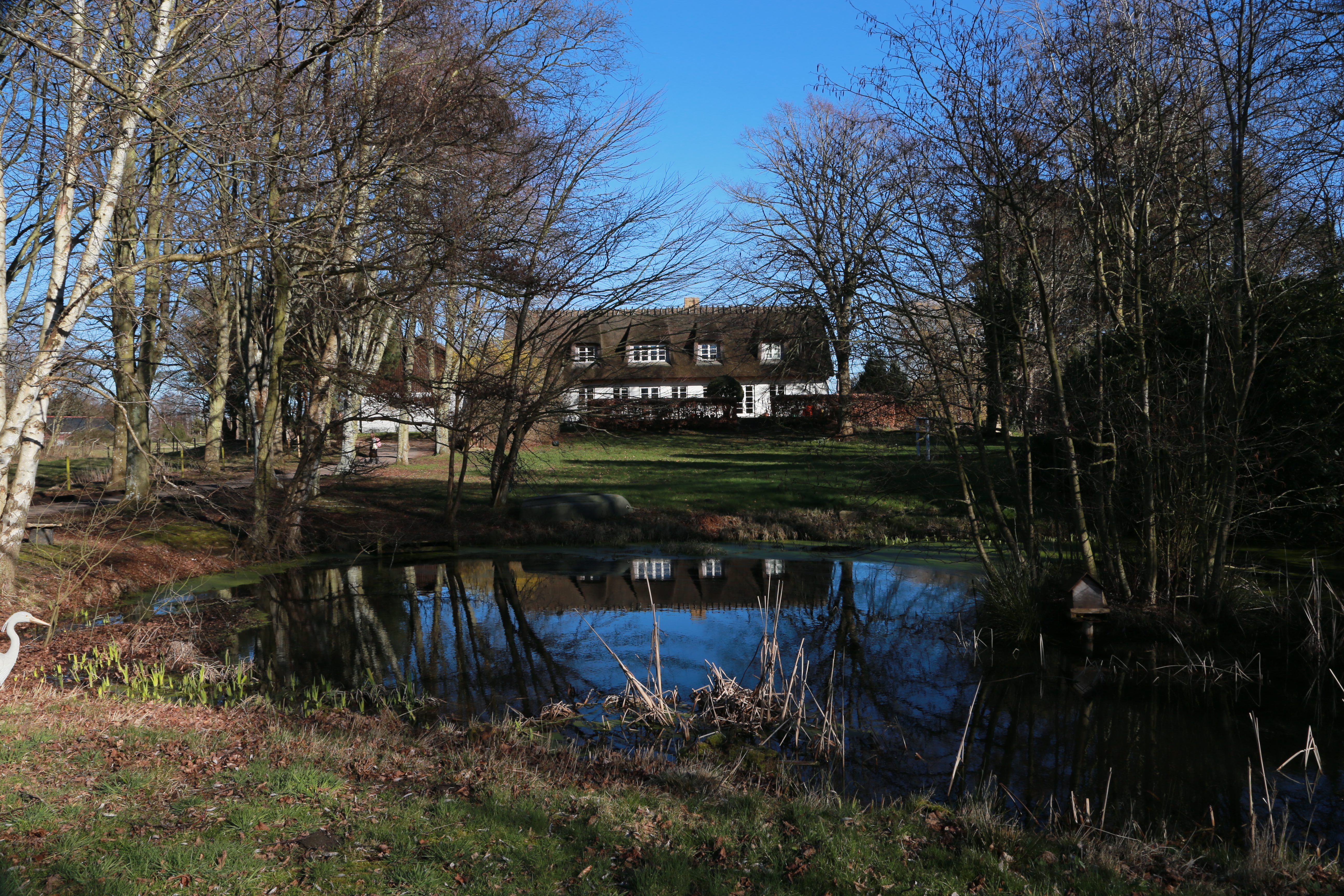 Et hvidt stråtækt hus spejler sig i en stille dam i forgrunden, omgivet af nøgne træer og en grøn græsplæne under en klar blå himmel. I venstre forgrund ses en hvid svane-dekoration og i højre kant et lille fuglehus ved vandkanten.