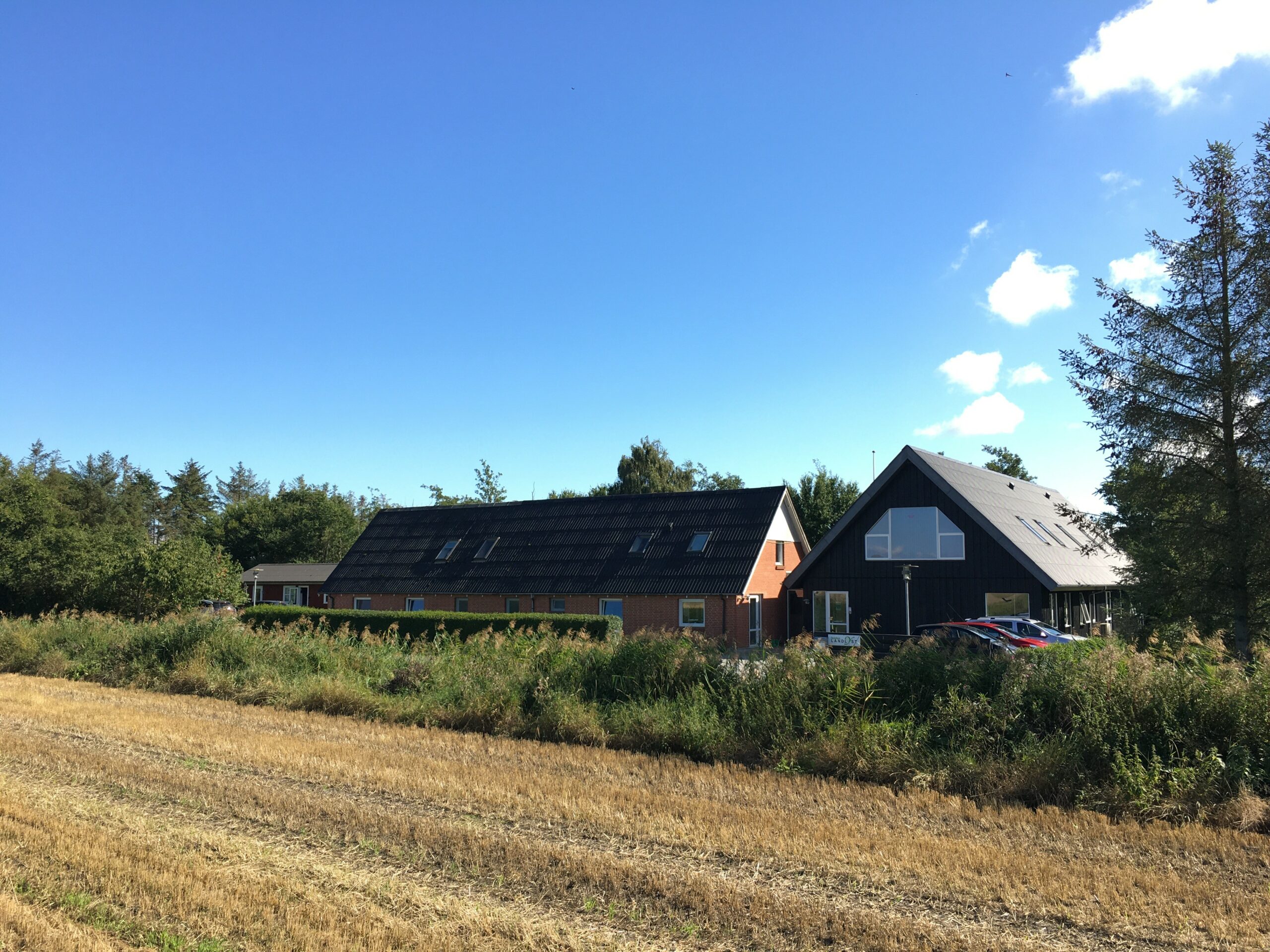 To landlige huse — et lavt rødt murstenshus med sort tag og et sort træhus med stort gavlvindue — står bag en nyslået gul mark omgivet af høje buske og træer under en klar blå himmel.