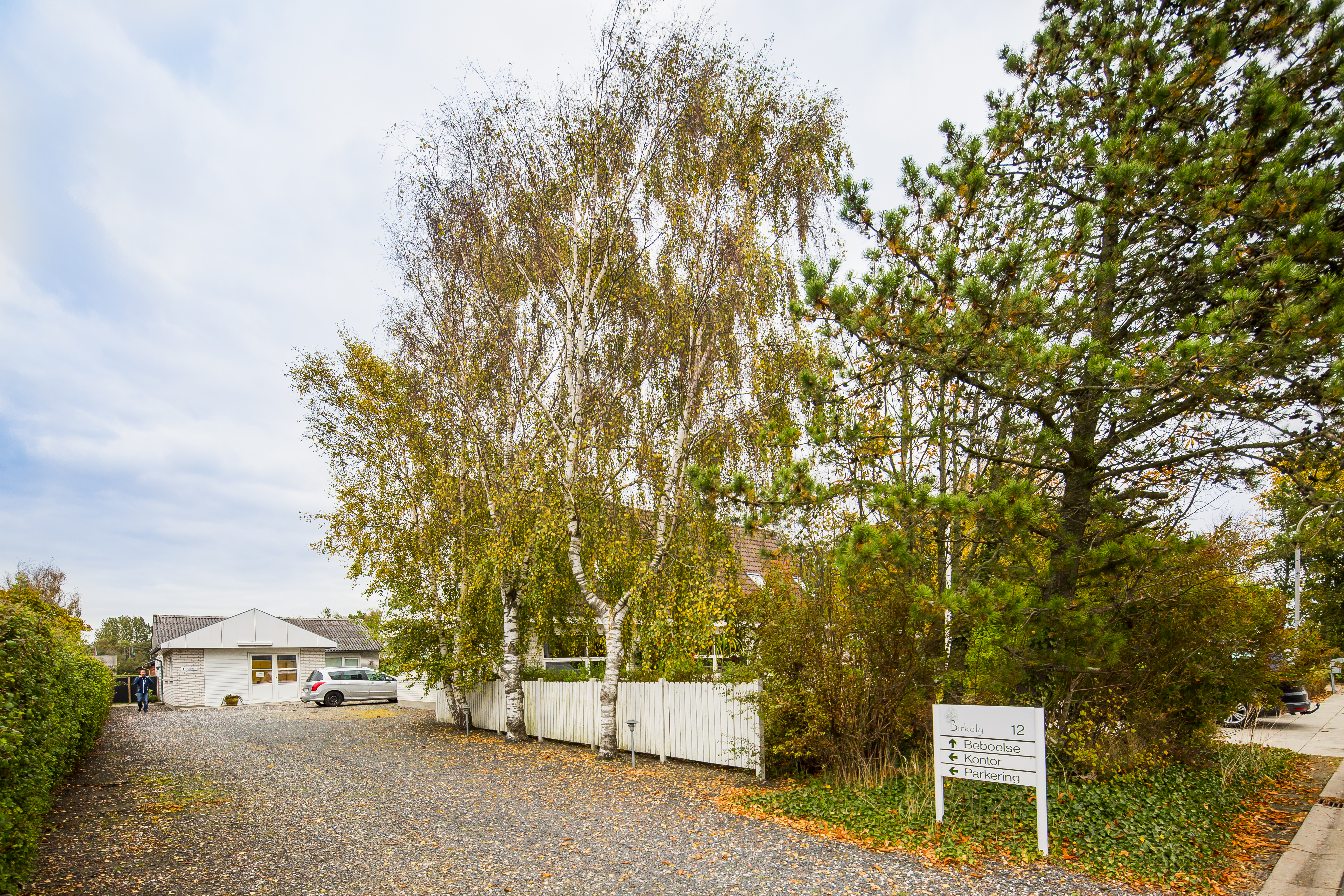 Grusindkørsel med hvide birketræer og en hvid hæk foran et lavt hvidt hus med en parkeret sølvfarvet bil i et efterårslandskab. Skilt ved vejkanten med teksten: "Birkely 12", "Beboelse", "Kontor", "Parkering".