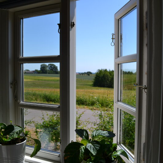 Hvidt sprossevindue står åbent og viser en landevej, grønne marker og træer under en klar blå himmel. To grønne potteplanter står på vindueskarmen i forgrunden.
