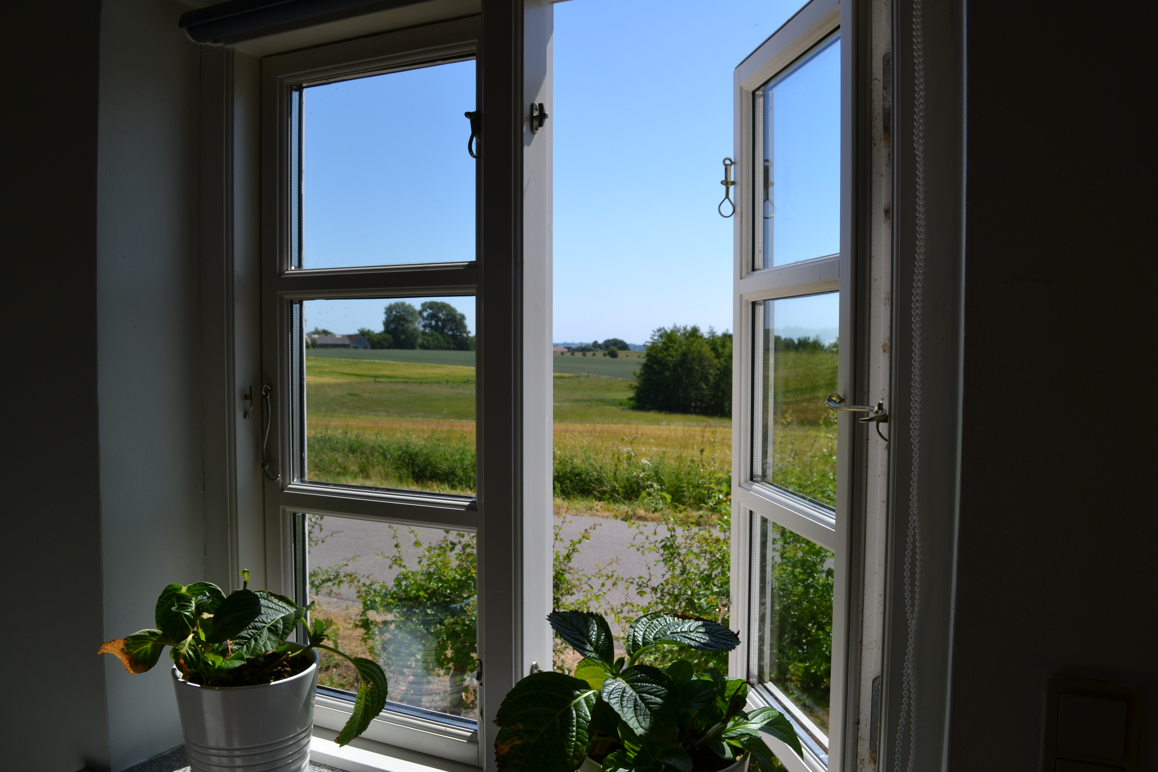 Hvidt sprossevindue står åbent og viser en landevej, grønne marker og træer under en klar blå himmel. To grønne potteplanter står på vindueskarmen i forgrunden.