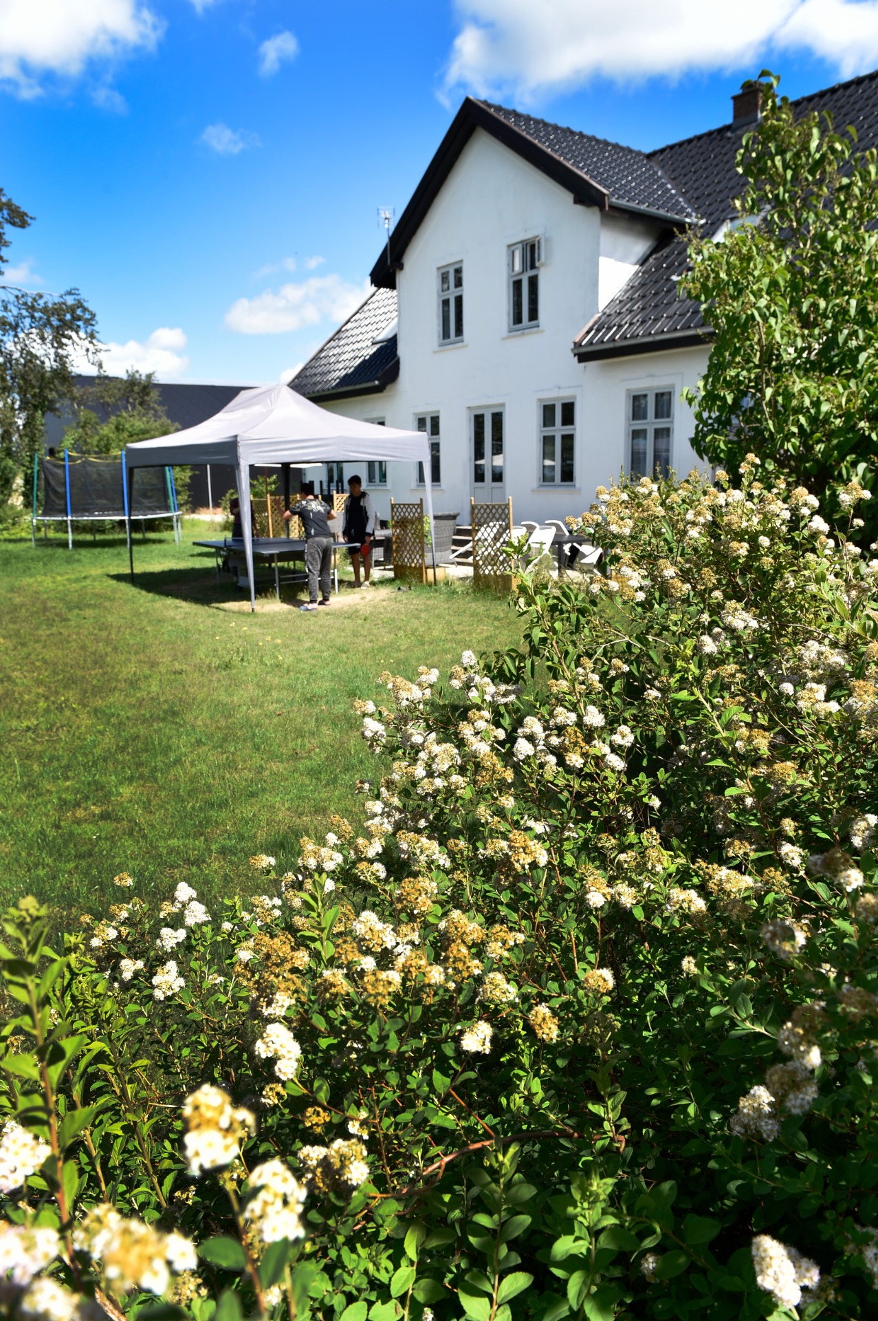 Hvidblomstrende busk fylder forgrunden, bagved en hvid to-etagers villa med sort tag og en hvid markise slået op på græsplænen, hvor to personer står ved et bord; blå himmel og en trampolin ses til venstre.