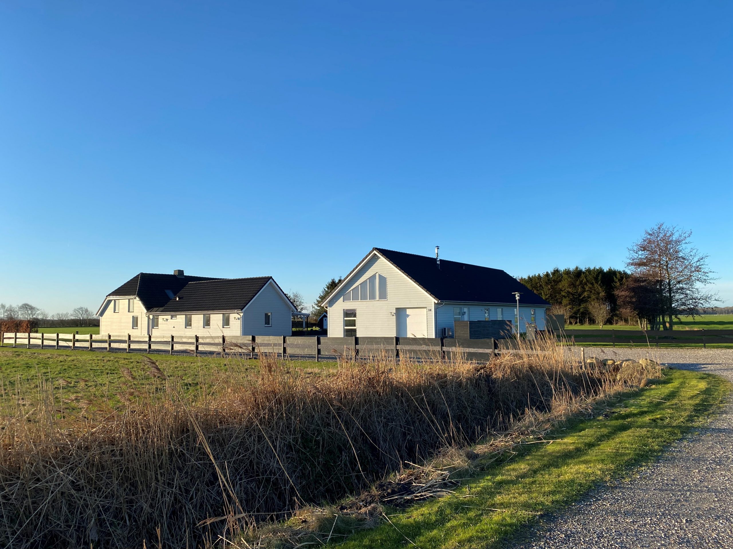 To hvide parcelhuse står side om side på en flad, solbeskinnet mark under en klar blå himmel, omgivet af et træhegn, tørre siv og en grusvej i forgrunden.