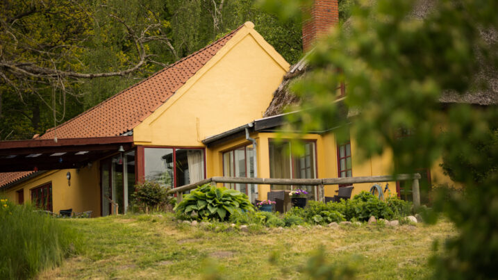 Gult landligt hus med rødt tegltag, skorsten og delvist stråtag, set gennem slørede grønne blade; foran huset en terrasse med havemøbler, potteplanter og et lavt trægelænder på en let skrånende græsplæne.