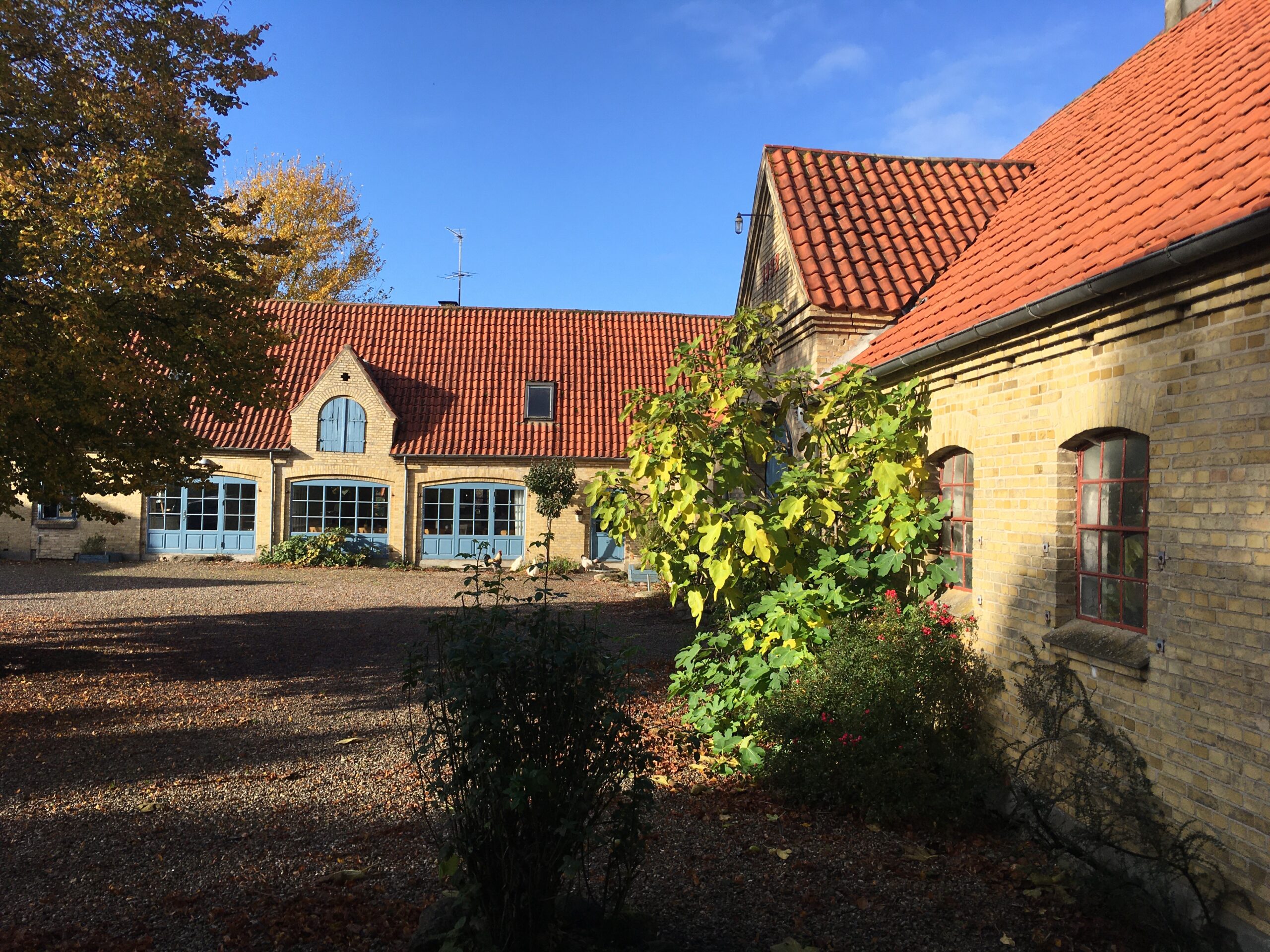 Gårdsplads med gule murstensbygninger i baggrunden med røde tegltage og blå buede døre og vinduer; i forgrunden står et solbeskinnet træ med grønne og gule efterårsblade ved siden af buske på en grusbelagt plads.
