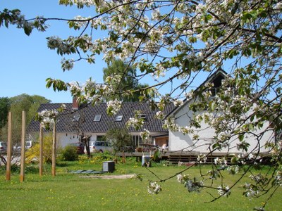 En blomstrende gren med hvide blomster hænger i forgrunden over en grøn græsplæne, bagved ses en række lave enfamiliehuse med mørke tagsten og en klar blå himmel.