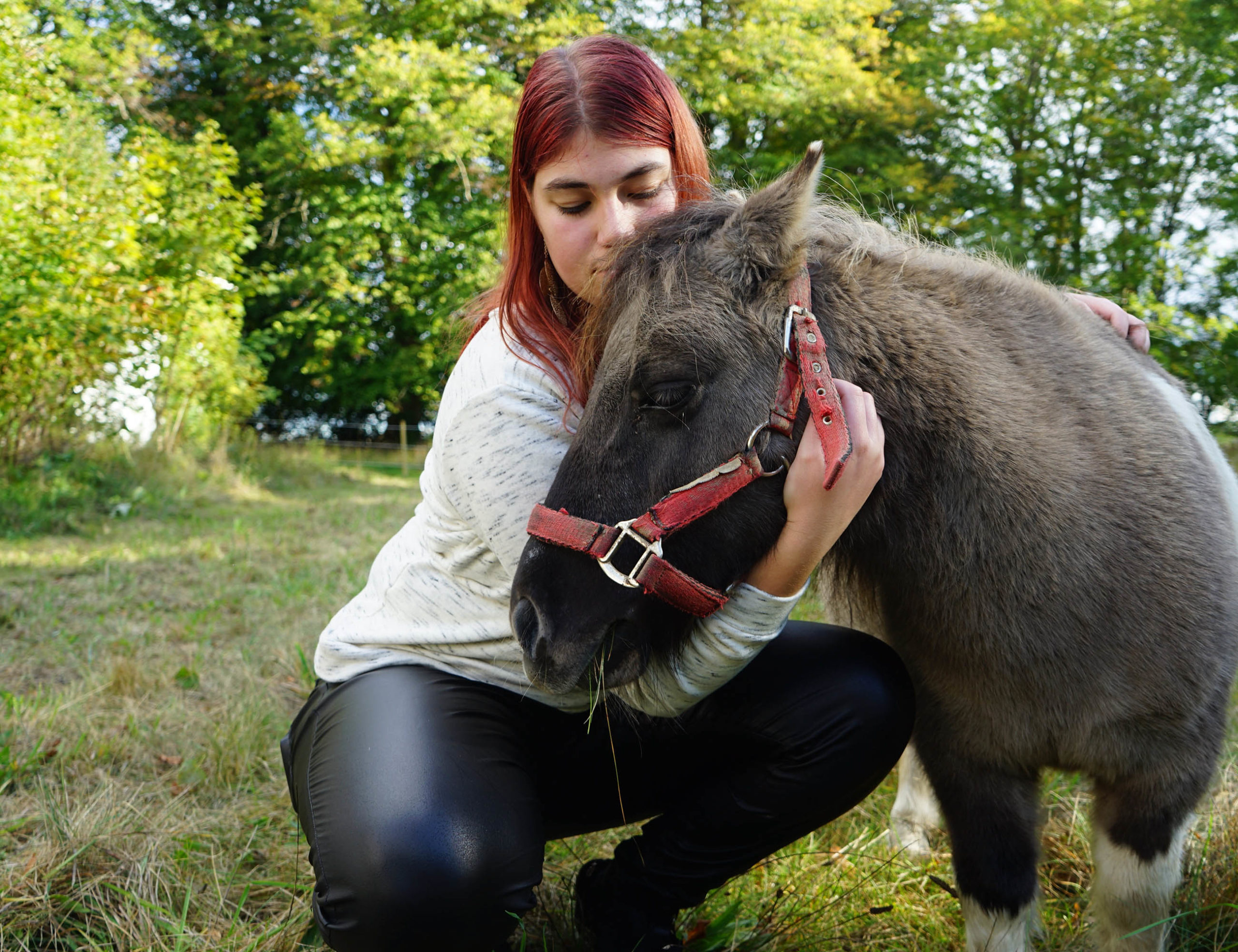 En lille grå pony iført rød grime bliver holdt tæt af en knælende person med rødt hår i en græsmark med træer i baggrunden; personens ansigt er sløret.