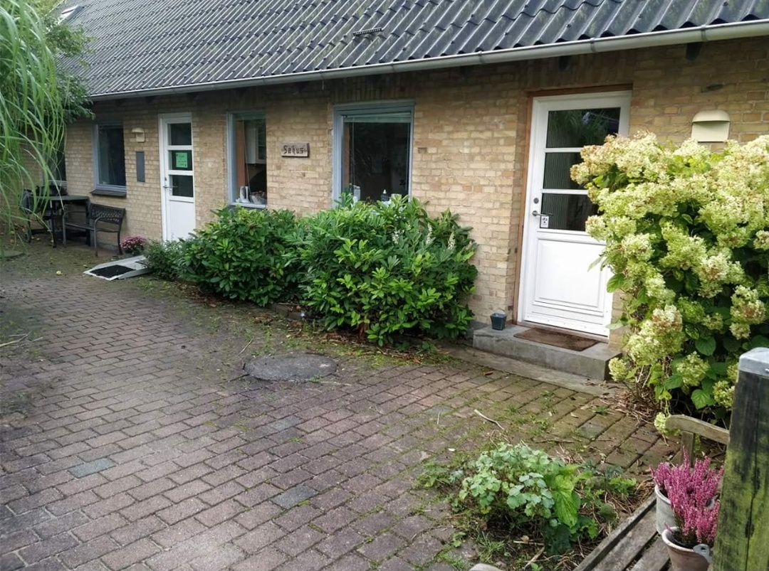 Facade af en lav gul murstensbygning med en flisebelagt indkørsel, to hvide døre og et vindue omgivet af tætte grønne buske, en stor blomstrende hortensia til højre og krukker med lyserøde blomster i forgrunden.