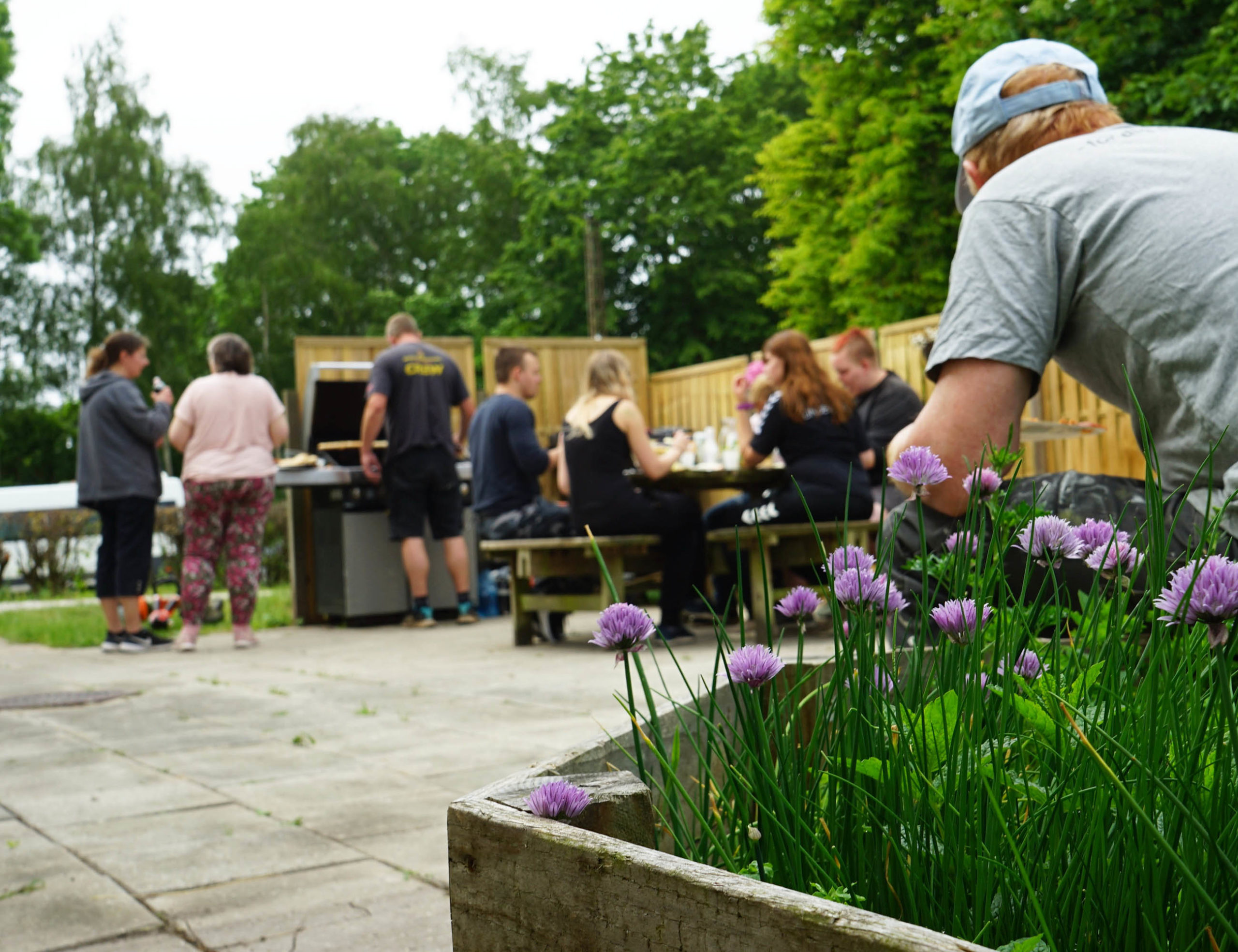 Purløgsblomster i skarpt fokus i en trækasse i forgrunden; i baggrunden står og sidder en gruppe mennesker omkring et picnicbord og en grill og snakker og spiser i en have med træer og træhegn.