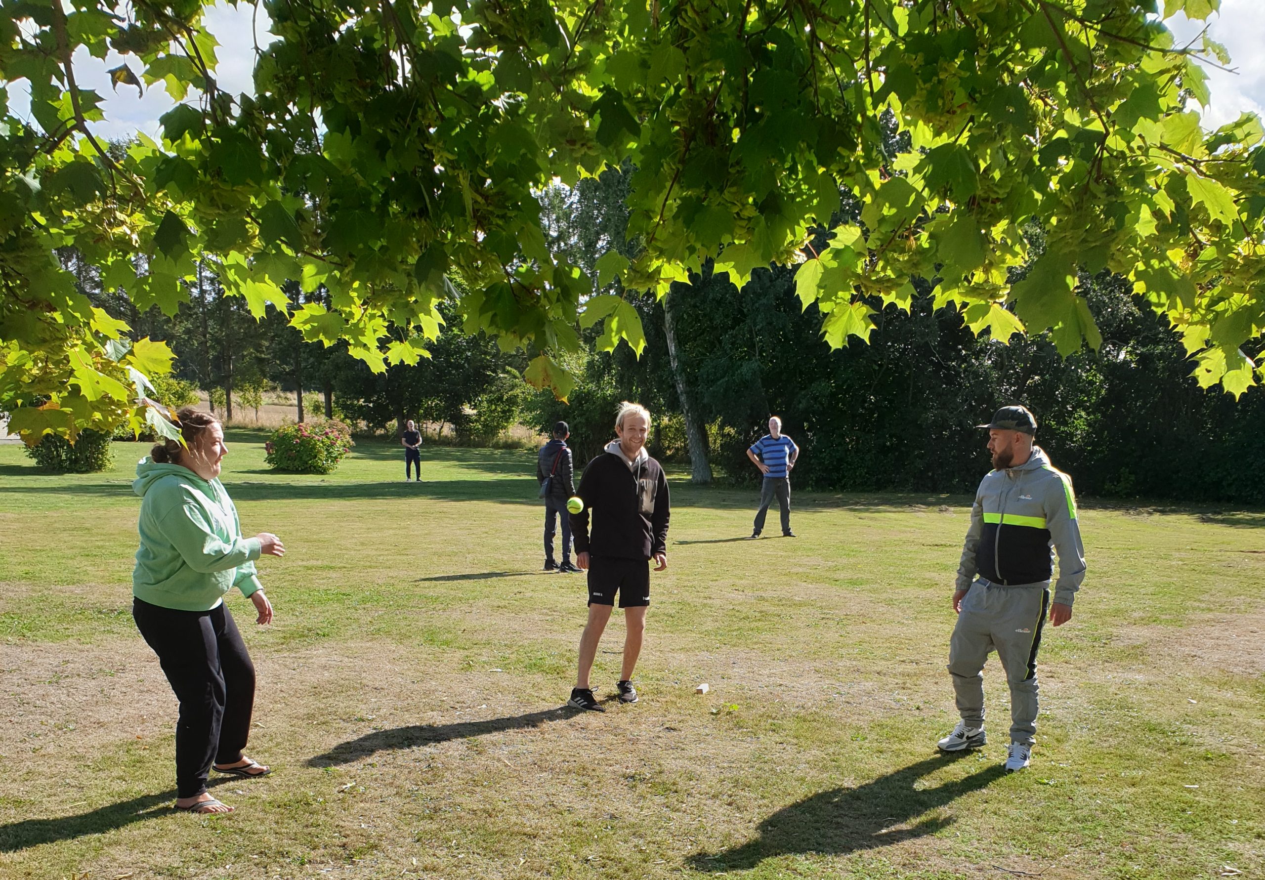 En gruppe personer står på en solrig græsplæne og kaster/fanger en tennisbold, tre i forgrunden deltager aktivt mens flere står spredt i baggrunden under lave, grønne trægrene.