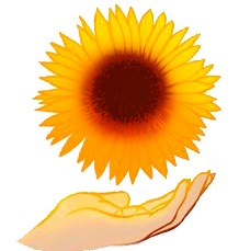 En stor gul-orange solsikke med mørk midte svæver over en åben håndflade, som om hånden bærer eller præsenterer blomsten.