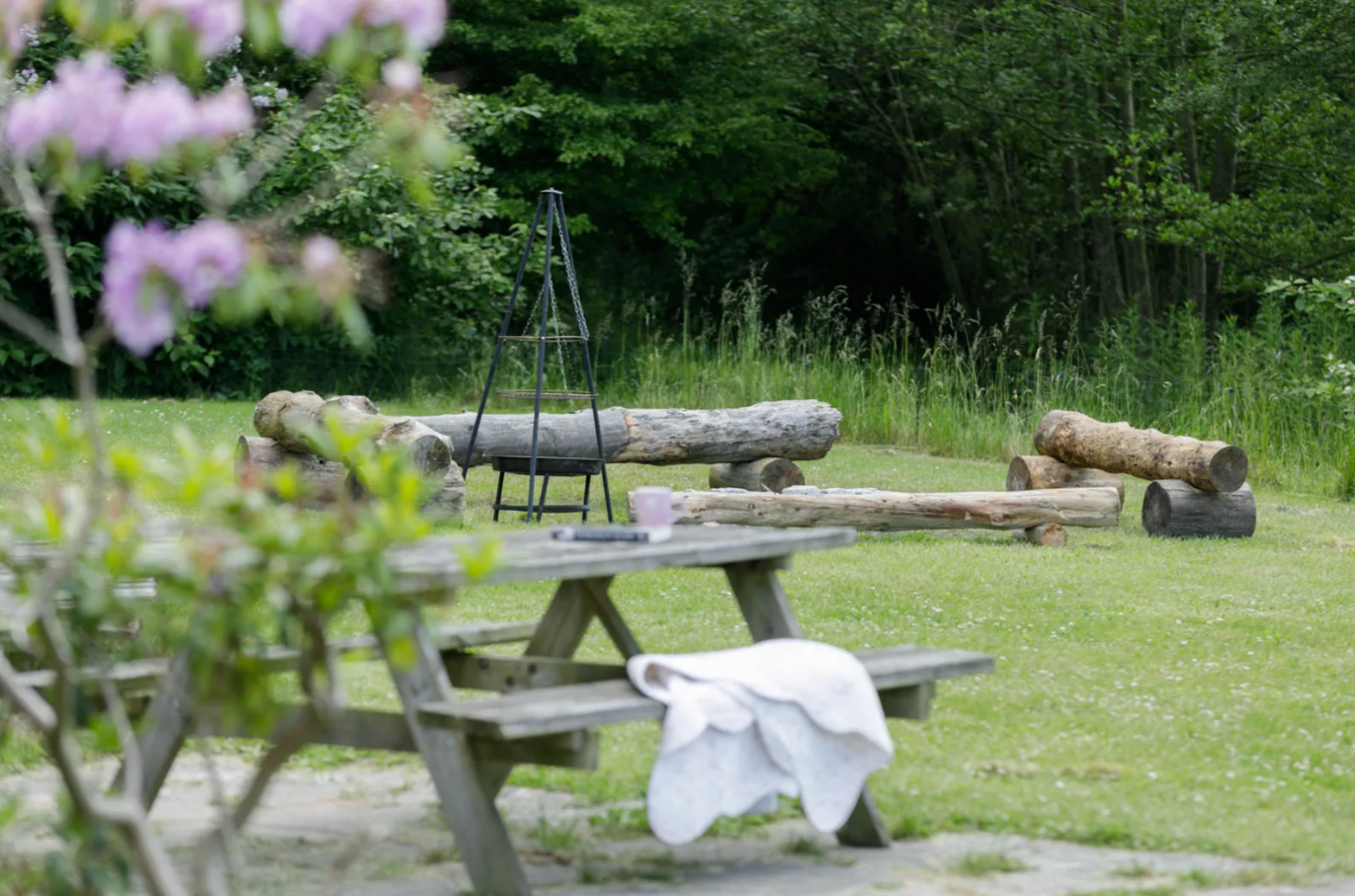 Træ-picnictabel i forgrunden med et hvidt tæppe hængende over bænken og en lyserød kop på bordet; i en græsplæne bagved ligger store træstammer som bænke omkring et sort, trebenet bålsted med skov i baggrunden og slørede lilla blomster i venstre forgrund.