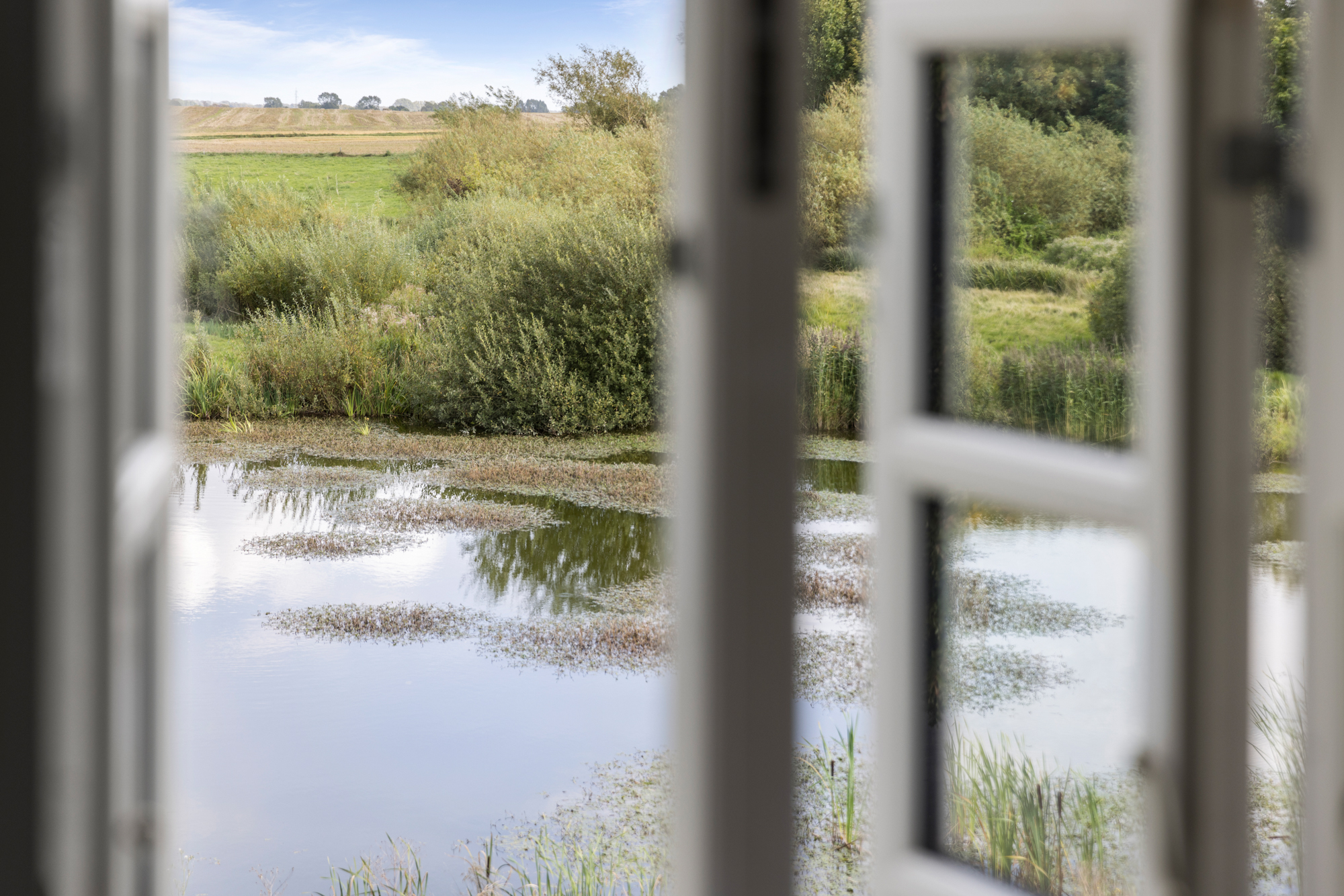 Åbne hvide vinduesrammer i forgrunden, der indrammer udsigten ud mod en rolig dam med pletter af flydende vegetation og spejlede skyer. Dammen er omgivet af siv og tætte buske, med grønne marker og træer i baggrunden.