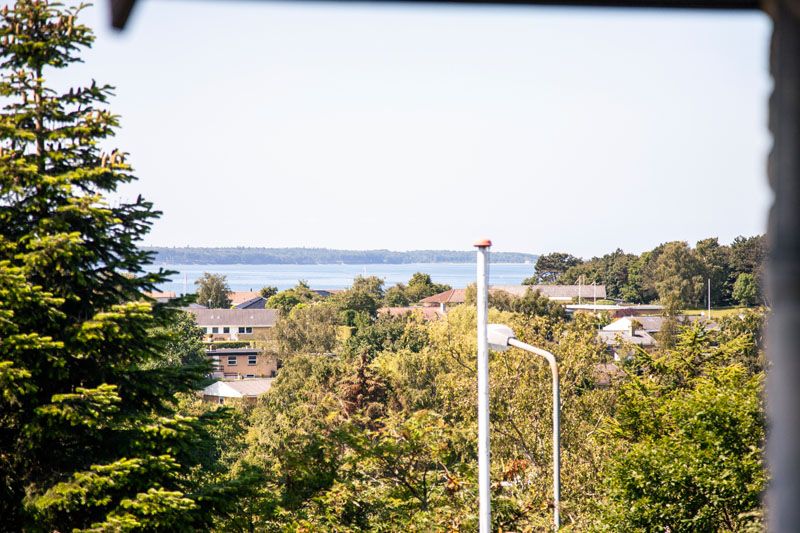 Udsigt gennem en mørk vinduesramme over tæt grøn beplantning og tage på lave boliger med en enkelt hvid gadelygte i forgrunden. I baggrunden ses roligt blåligt hav og lav horisontlinje bag bebyggelsen.