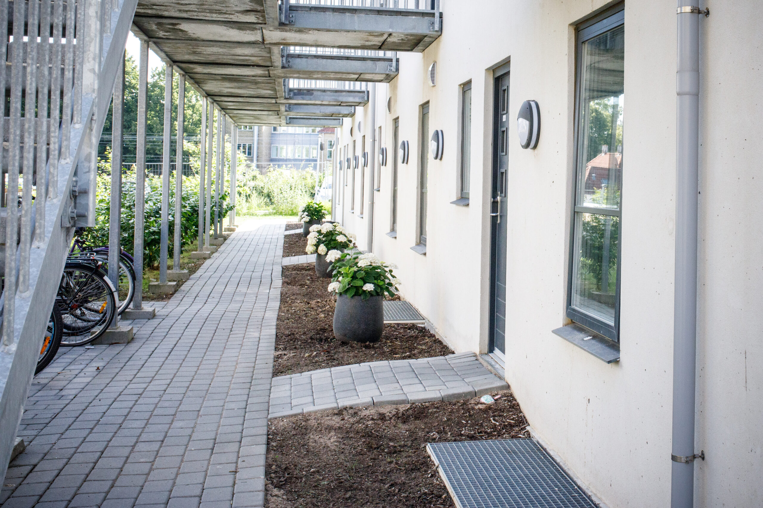 Flisebelagt gang under en række metalaltaner langs en hvid boligblok med parkerede cykler til venstre. Til højre ses indgangsdøre, vinduer og store grå krukker med hvide blomster (hortensiaer) langs facaden.