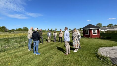 Udvalgt billede