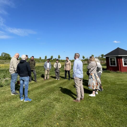 Udvalgt billede