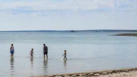 To voksne og to børn vader i lavt kystnært vand tæt på en sandstrand, spredt ud i en linje mod havet. Himmel med lette skyer og roligt vand strækker sig ud mod horisonten.